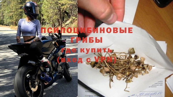спиды Корсаков