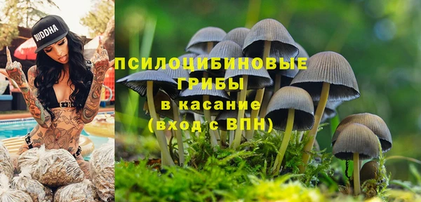 спиды Корсаков