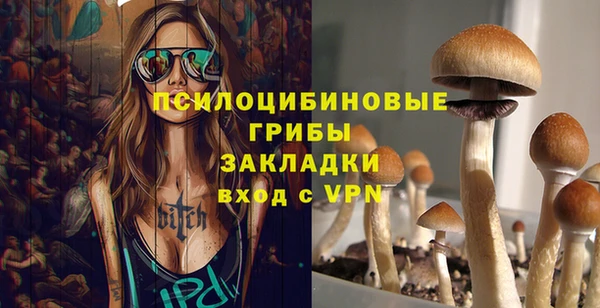 прущие крисы Костерёво