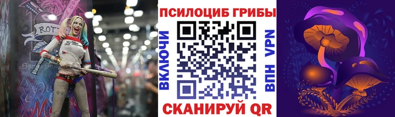Купить закладки  Ялта  Псилоцибиновые грибы Magic Shrooms 